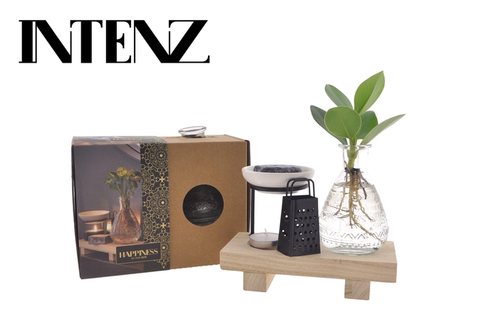 <h4>Happiness in a box - Intenz Wellness</h4>