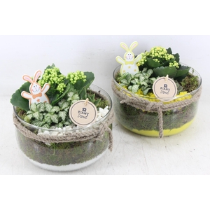 arr2 PL - Glas bose touw x3 - geel/wit