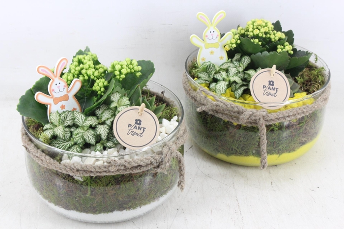 <h4>arr2 PL - Glas bose touw x3 - geel/wit</h4>