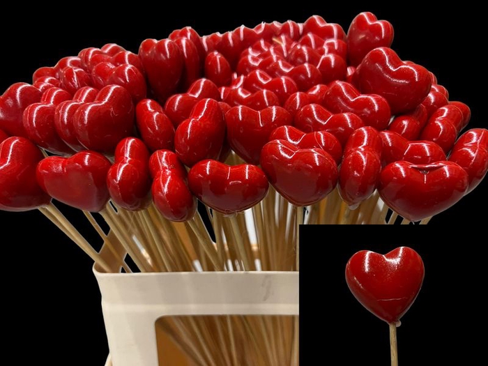 <h4>HARTJE OP STOK H% ROOD MAT</h4>
