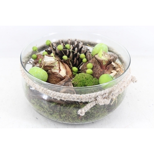 arr4 Amaryllis MB - Glas bose rope L x2