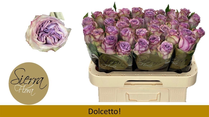<h4>R Gr Dolcetto!</h4>