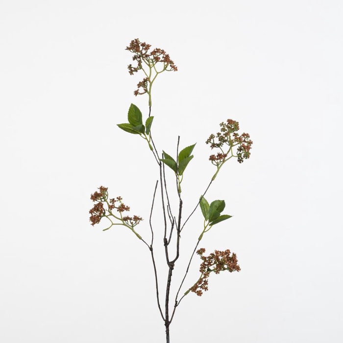 <h4>AF Anthriscus wire L72cm or</h4>