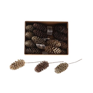 Pinecone Dinan Glitter L7D3.5