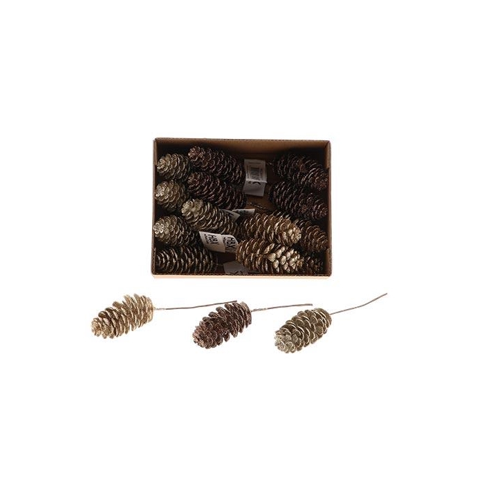 <h4>Pinecone Dinan Glitter L7D3.5</h4>