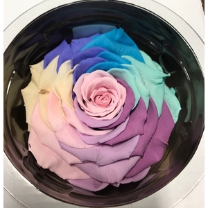 Roos XXL rainbow pin-04