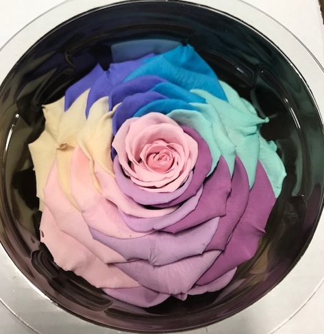 Roos XXL rainbow pin-04