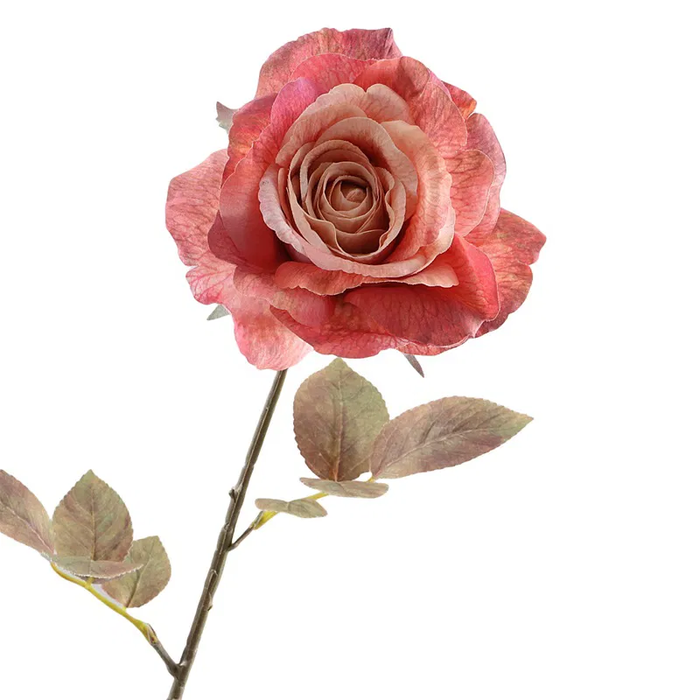 <h4>Rosa Dried Pink FL440071PNK</h4>