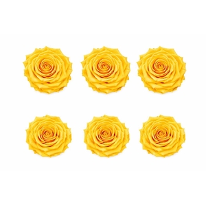 Ro Pres Classic Yellow Gold