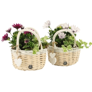 21888: Love outdoor arrangement