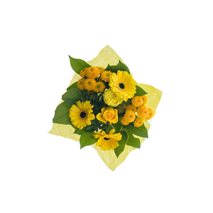 BQ Shorties Yellow