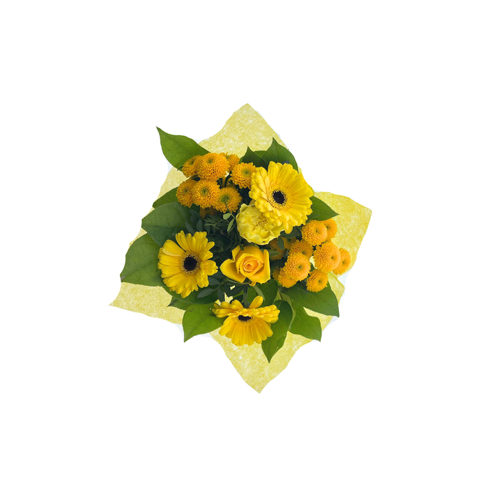 <h4>BQ Shorties Yellow</h4>
