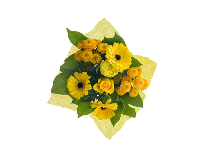 BQ Shorties Yellow