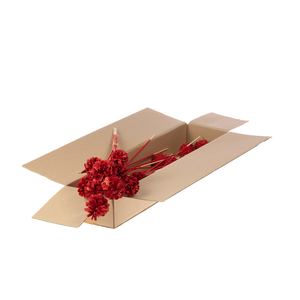 Pine C 5-7 O/s Sb Rd Glit