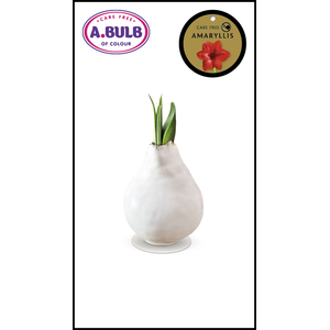A.BULB of Colour - 28cm White Waxed
