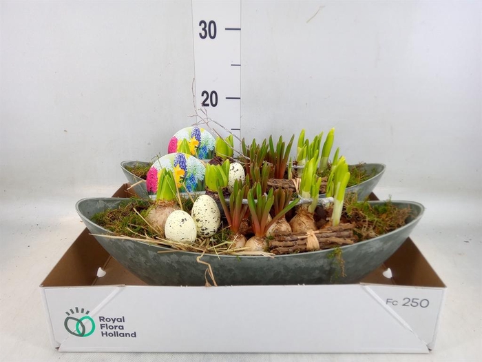 <h4>Arr.   Bol/Knolgewas L%</h4>