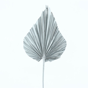 Dried Palm Spear Zilver