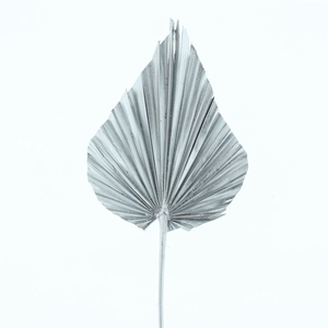 Dried Palm Spear X X L Zilver