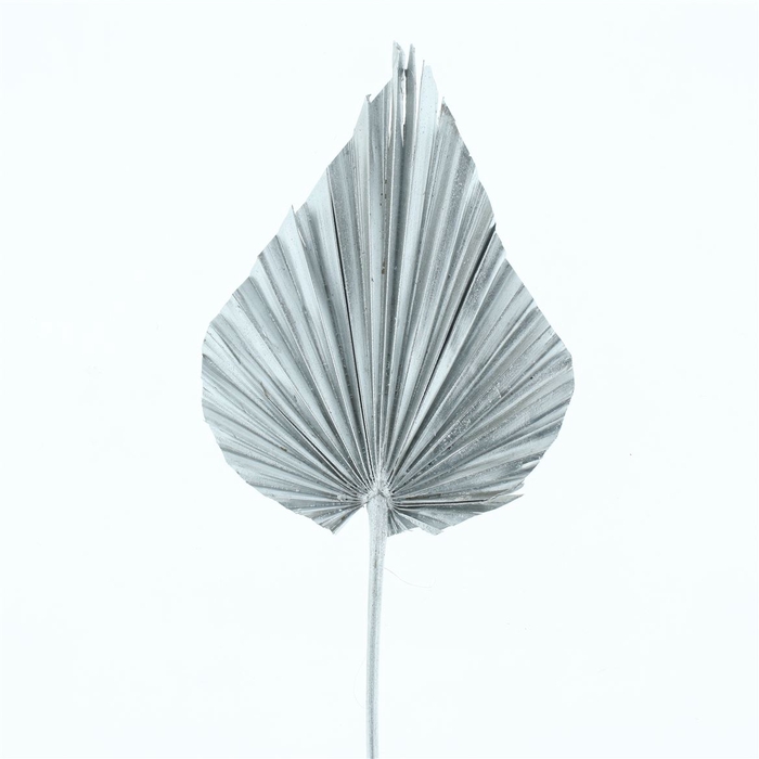 <h4>Dried Palm Spear X X L Zilver</h4>