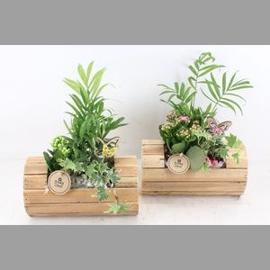 arr2 PL - Hout ton - roze/wit