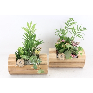 arr2 PL - Hout ton - roze/wit