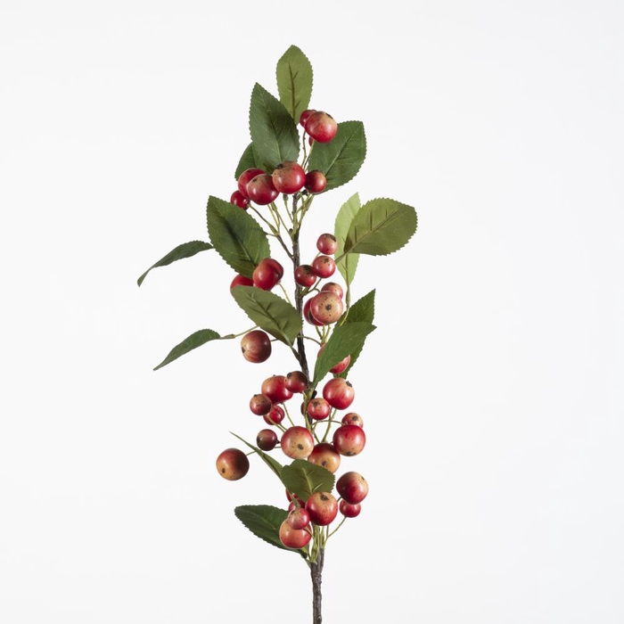 <h4>AF Malus apple L90cm red</h4>