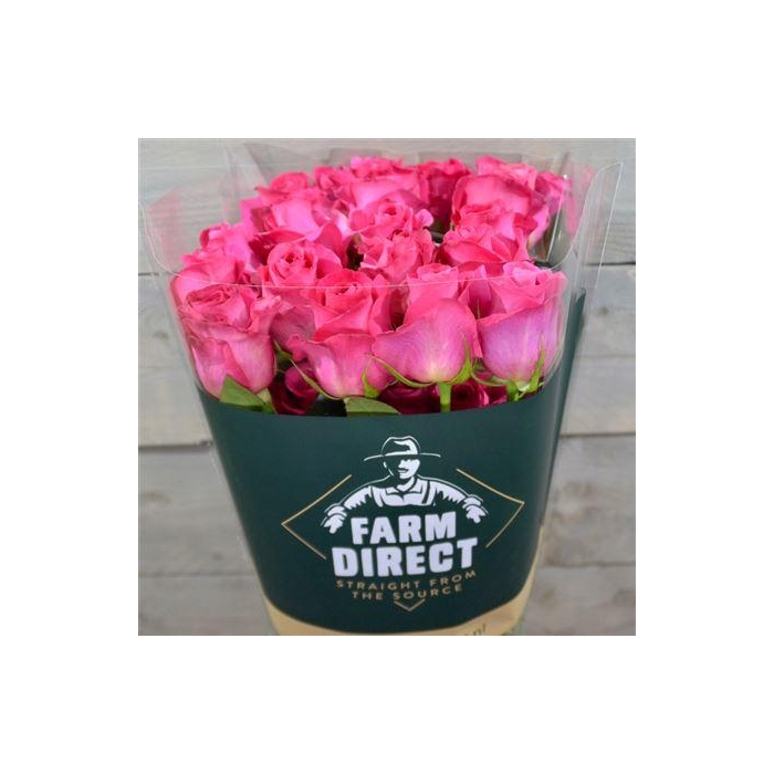 <h4>R Gr Pink Floyd</h4>