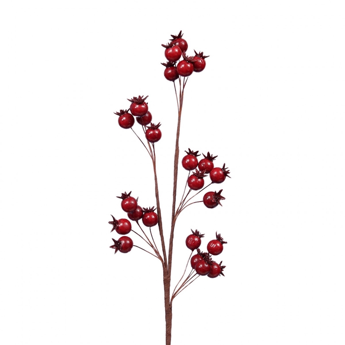 <h4>Kerst Tak bessen 46cm</h4>