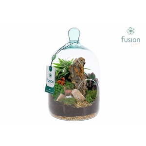 Green Bottle Novella Medium met arrangement