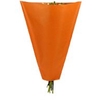 Sleeves 50x30x10cm Kraft45 orange