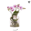 Arrangementen Kolibri H% arrangement Root pink 3spike 43ROOTPIN