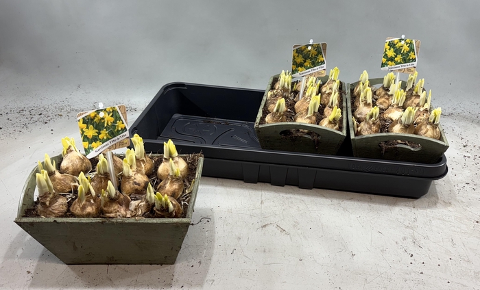 <h4>ARR N TETE A TETE</h4>