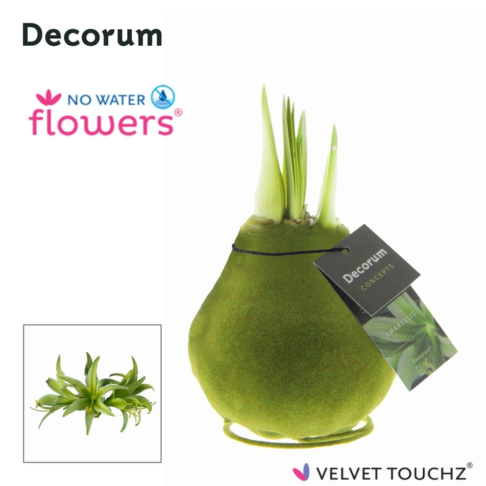 <h4>No Water Flowers Velvet Touchz® Evergreen Green (Decorum)</h4>