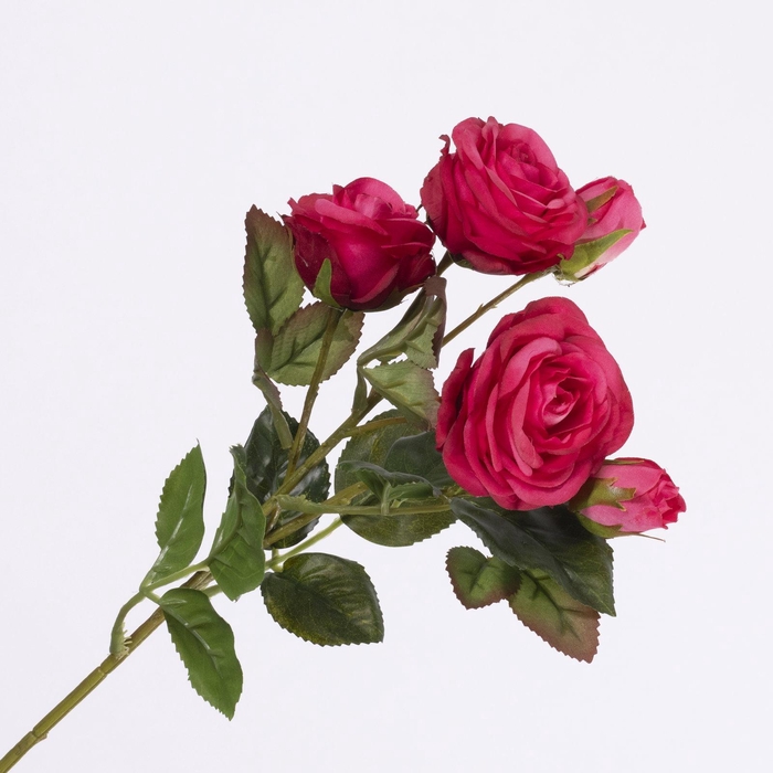 <h4>Rosa Spray Cerise FL440242CER</h4>