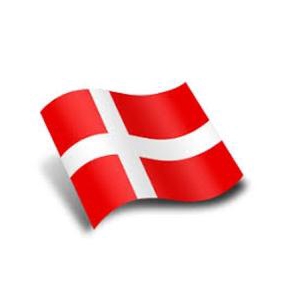 Kalanchoe blos.   ..rosebud