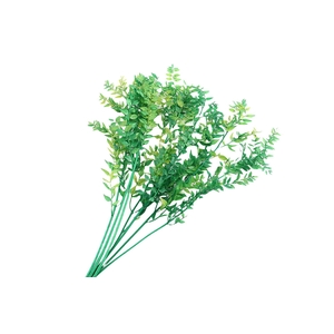 Ruscus Preserved Green Dark