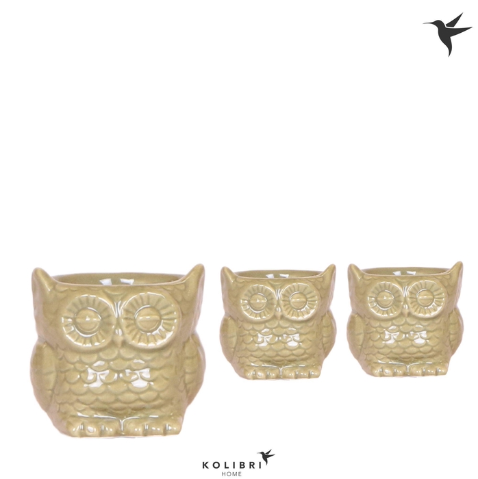 <h4>Kolibri Home Owl pot green</h4>