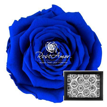 <h4>Xs Blu03</h4>