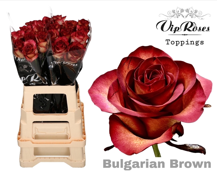 <h4>R GR OV KLB H%</h4>