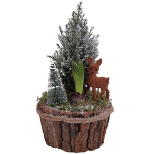 Winter Arr. Outdoor Wooden Bark Pot with Rope Ø17cm 2PP