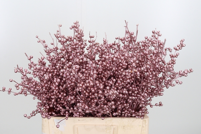 <h4>Ilex Kl Bh Rose Goud</h4>