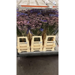 Lim Sin Pink Activa Parfumed