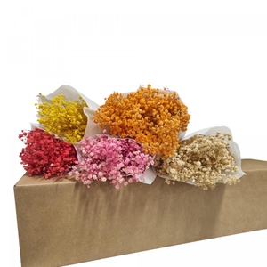 Droogbloem DIY box assorti 65cm