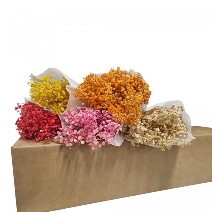<h4>Droogbloem DIY box assorti 65cm</h4>