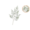 Silk Fern Forest Green Snowy 137cm