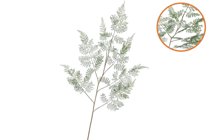 Silk Fern Forest Green Snowy 137cm