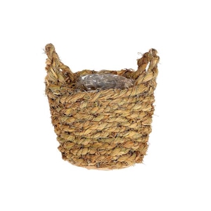 BASKET GRASS H19D22