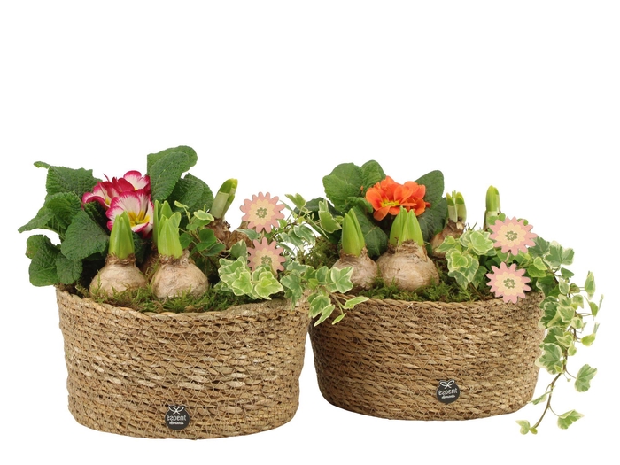 <h4>11666: Outdoor spring arrangement</h4>