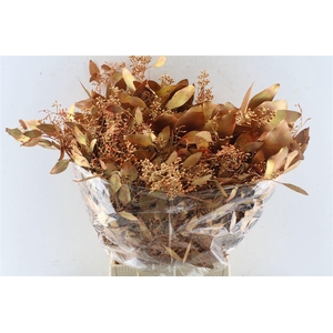 Euca Populus Berry Metal Copper