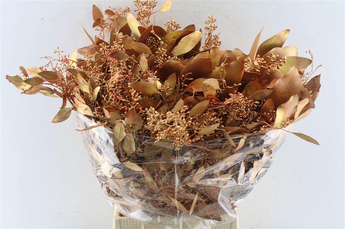 <h4>Euca Populus Berry Metal Copper</h4>